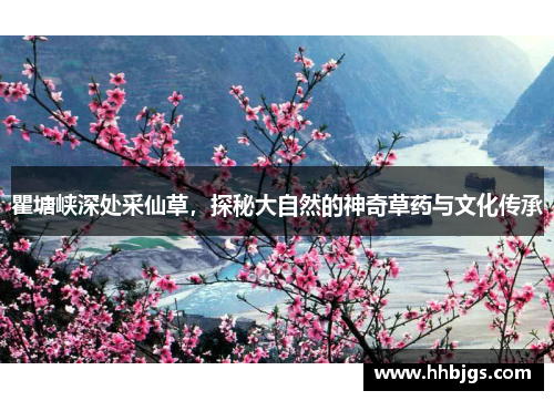 瞿塘峡深处采仙草,探秘大自然的神奇草药与文化传承 瞿塘峡深处采仙草,探秘大自然的神奇草药与文化传承